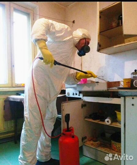 Уничтожение Комаров тараканов клопов блох клещей