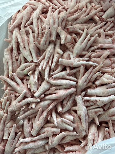 Куриные лапы плюсны экспорт в китай