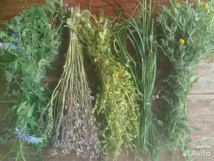 Для грызунов лакомство и др