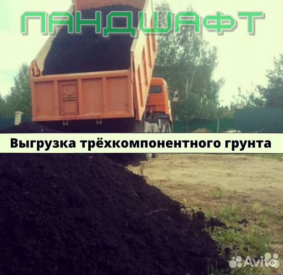 Высший сорт рулонного газона Чехов