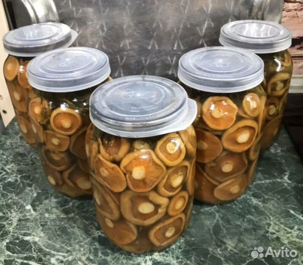 Грибы рыжики и другие