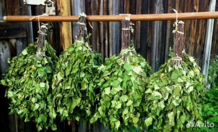 Березовые веники