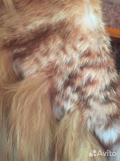 Плащ кожа,мех натуралка