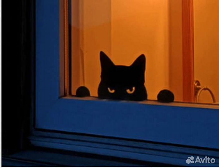 Кот сторожевой