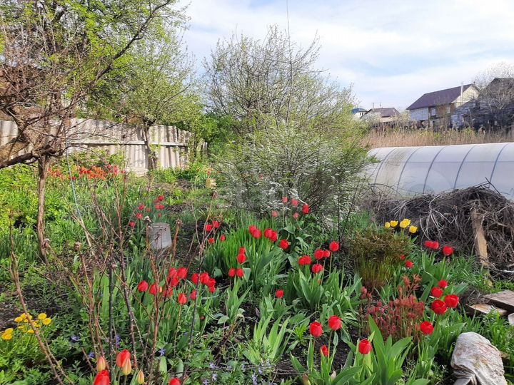 Дом 41 м² на участке 6,2 сот.