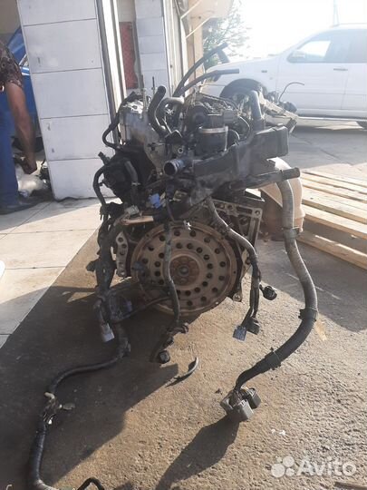 Мотор бу Honda Elysion