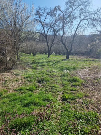 Участок 15 сот. (ИЖС)