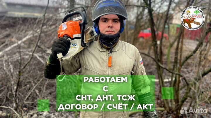 Спилить дерево на участке в Люберцах