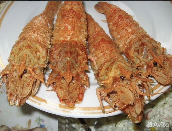 Икра. Креветка Медведка 50/80,без глазури