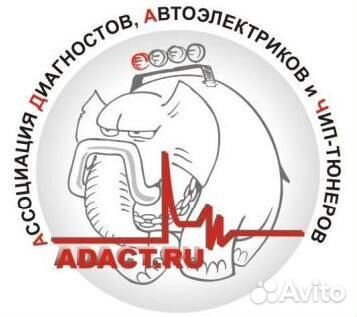 Чип-тюнинг от Adact, диагностика инжектора