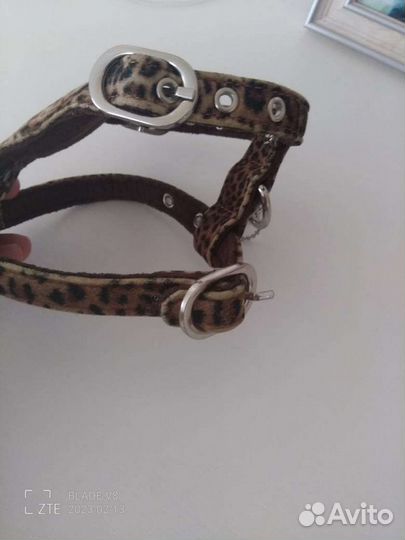 Шлейка для маленькой собаки, кожа