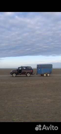 Перевозка лошадей