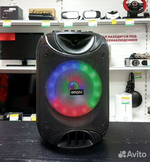 Колонка ginzzu GM-223