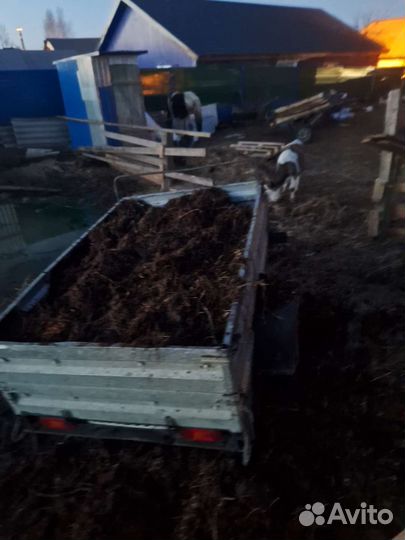 Конский навоз