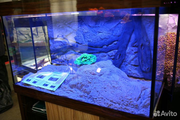 Аквариум на заказ в Чите по вашим размерам