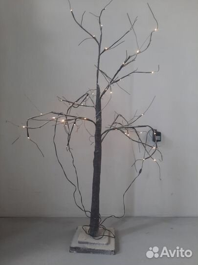 Декоративные деревья