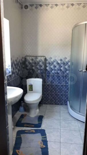 Дом 55 м² на участке 50 сот.