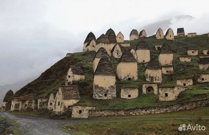 Поездка След шелкового пути отель 4* завтраки