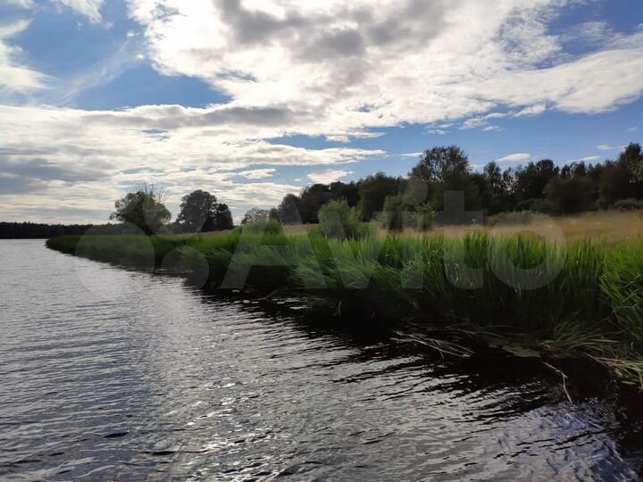 Участок 4,2 га (СНТ, ДНП)