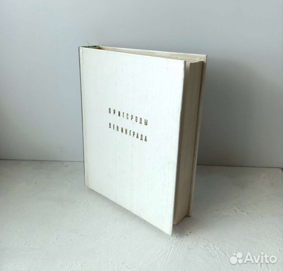 Пригороды Ленинграда 1985 Кючарианц, Раскин