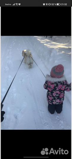 Куртка для девочки