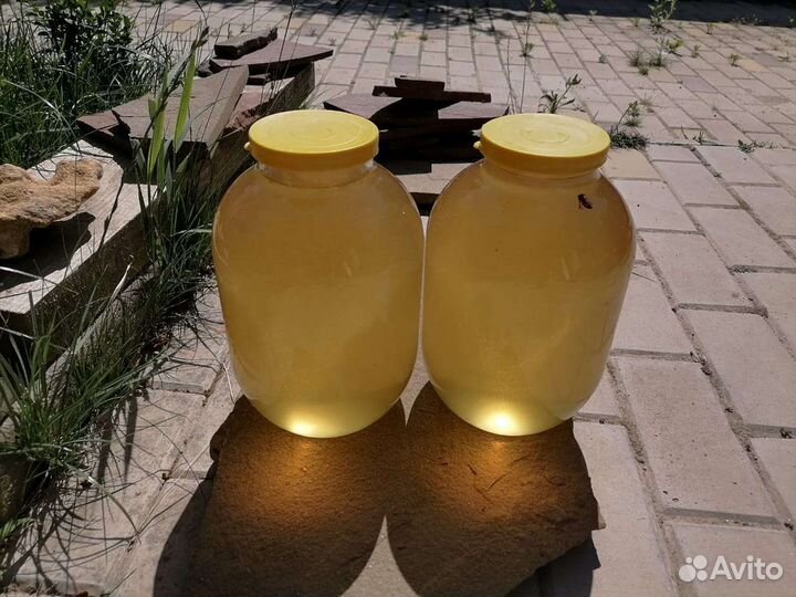 Мёд 2023 Липа, акация, майский прополис