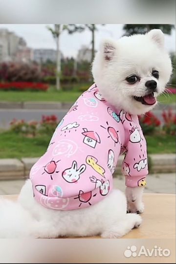 Кофта для животных