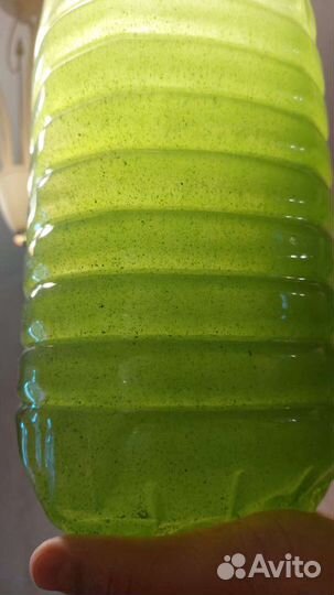 Живая суспензия хлореллы