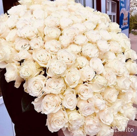 Высокие розы 150 160 170 180 190см доставка Москва