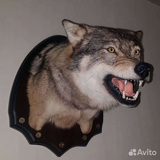 Изготовление трофеев