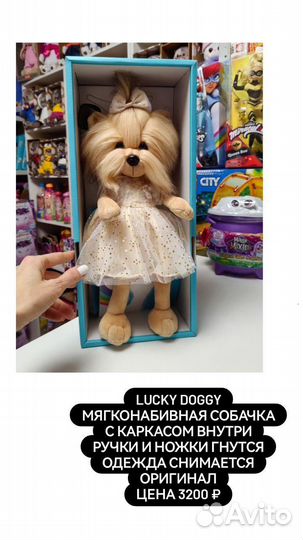 Lucky doggy собачка