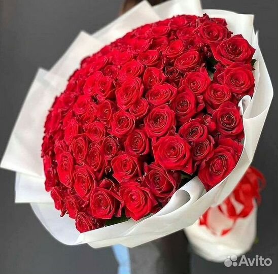 101 Роза Цветы Букеты 51 25 Роз Доставка