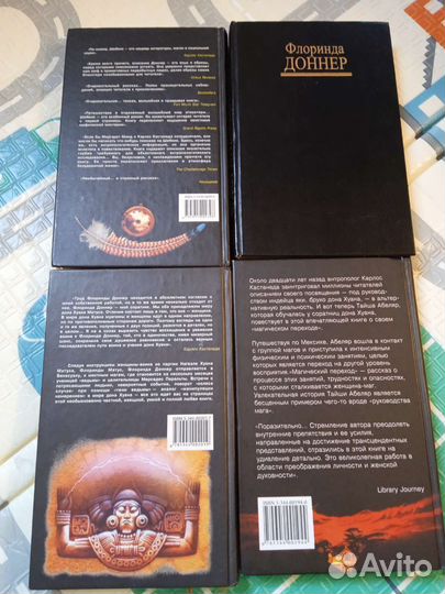 Флоринда Доннер, Тайша Абеляр