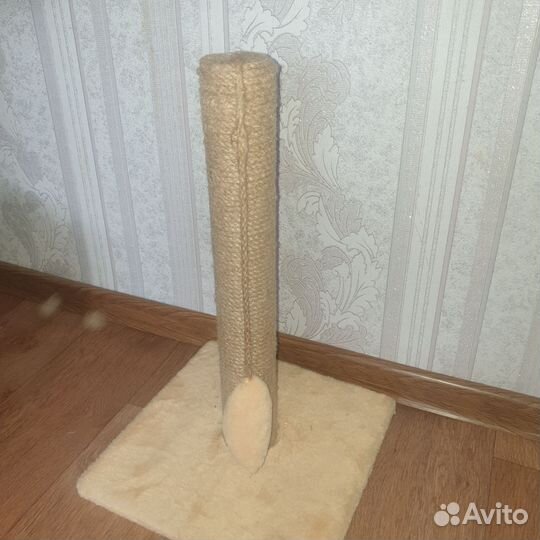 Когтеточка для кошек бу котят