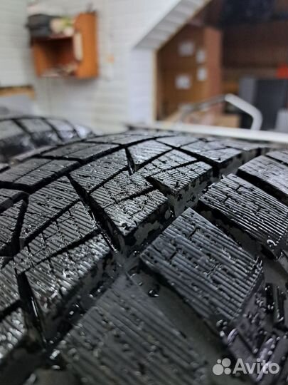 Goform Frozenero 195/55 R16 91T