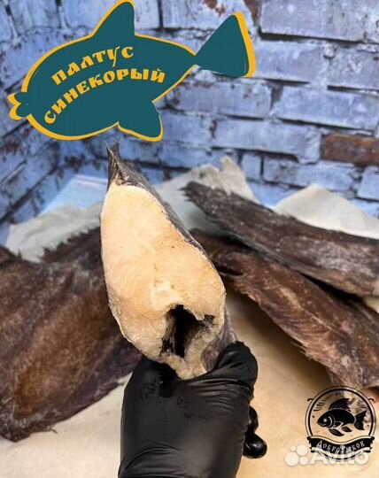 Конгрио и палтус синекорый