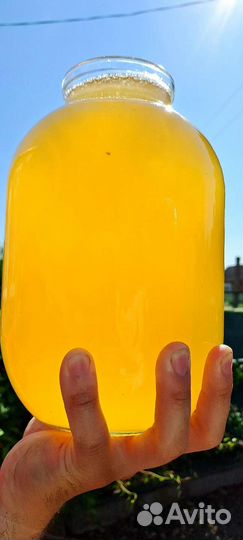 Мёд Акациевый оптом