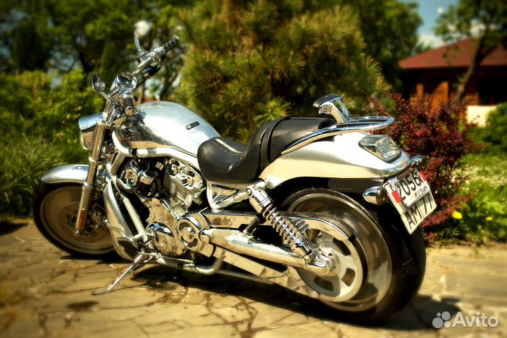 Harley-davidson V-ROD
