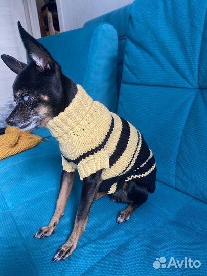 Свитер для собаки