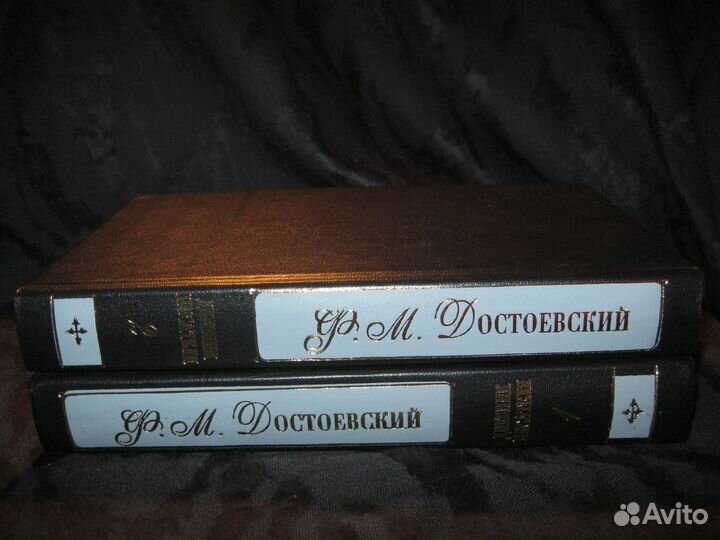 Ф.М. Достоевский. Дневник писателя в 2 кн