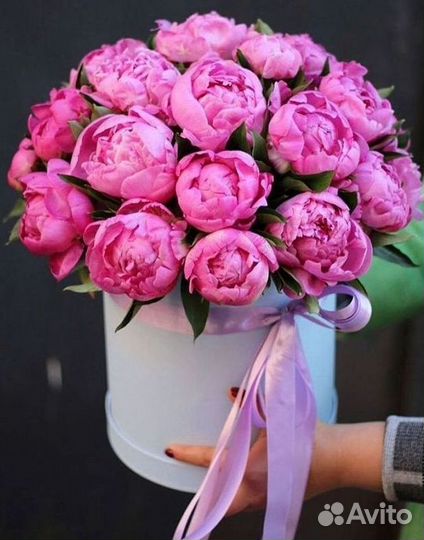 Пионы Букет пионов Доставка цветов