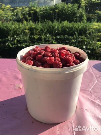 Малина зрелая свежая