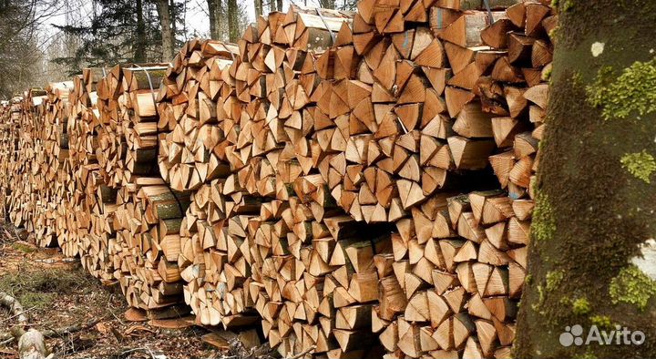 Дрова в ло