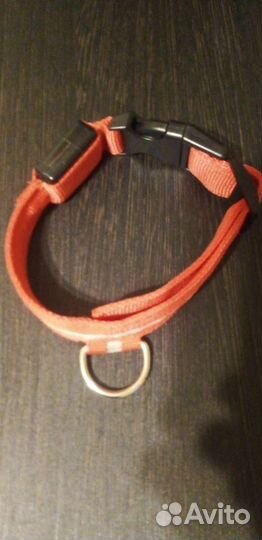 Ошейник с подсветкой