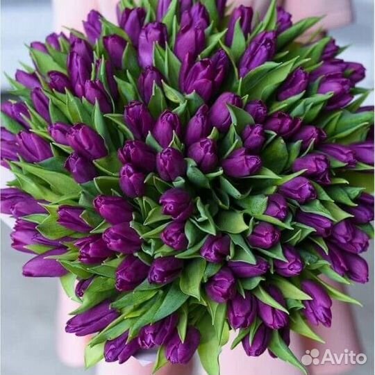 Тюльпаны к 8 марта розница/опт