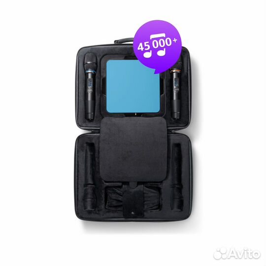 Караоке EvoBox Plus Ocean с микрофонами + EvoCase