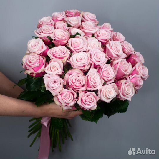 101 роза цветы букеты доставка 25 51 75