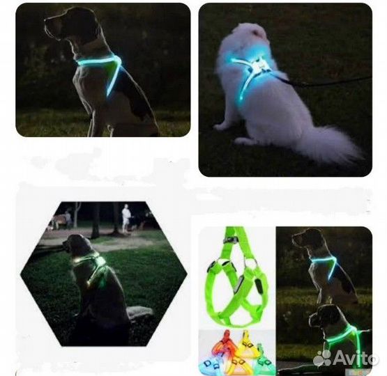 Светящиеся ошейники и шлейки для собак