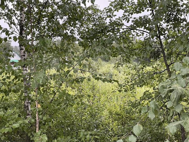 Участок 11,2 сот. (СНТ, ДНП)