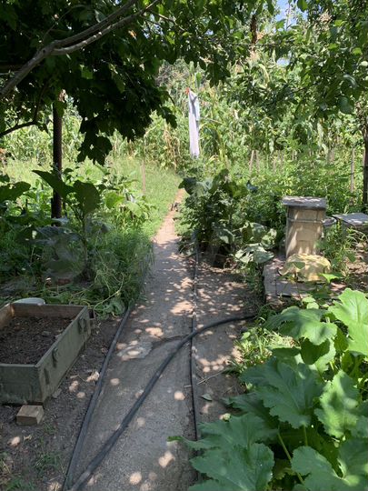 Дом 80 м² на участке 6 сот.